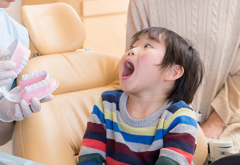 虫歯、歯周病の予防にも繋がる